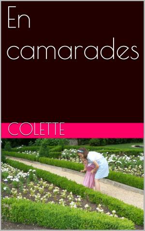 Cover of the book En camarades by Madame d' Aulnoy