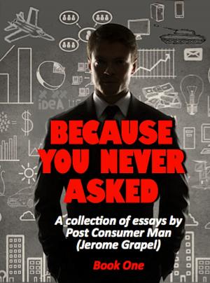 Book cover of Because You Never Asked
