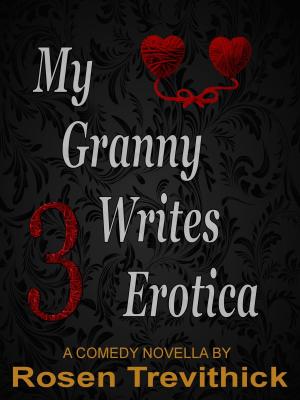 Cover of the book My Granny Writes Erotica 3 (Bit on the side) by R. E. Warner
