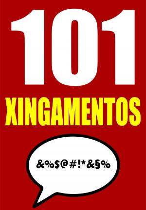 Cover of the book 101 XINGAMENTOS by Vera Bryant