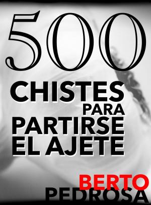 Cover of the book 500 Chistes para partirse el ajete by Sofía Cassano, Berto Pedrosa