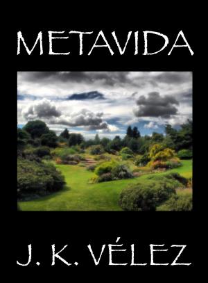 Cover of the book Metavida by Sofía Cassano, Berto Pedrosa, J. K. Vélez