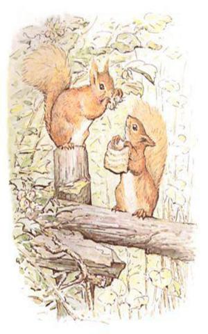 Cover of the book Tale of Squirrel Nutkin (Illustrated) by Randall Garrett