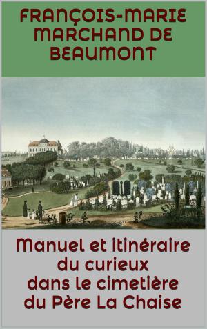 Cover of the book Manuel et itinéraire du curieux dans le cimetière du Père La Chaise by Emile Faguet