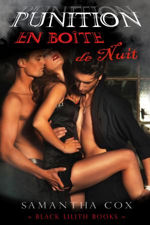 Book cover of Punition en Boîte de Nuit