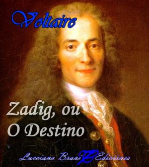 Cover of the book Zadig by Eça de Queiroz