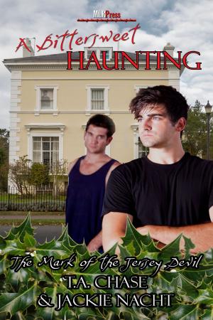 Cover of the book A Bittersweet Haunting by Shawn Bailey