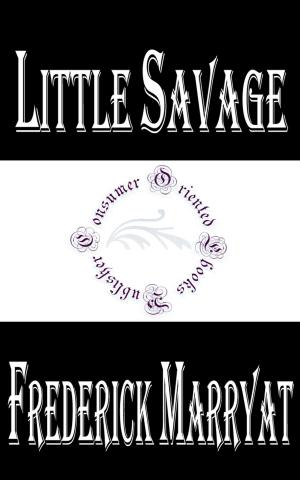 Cover of the book Little Savage by Simões Lopes Neto