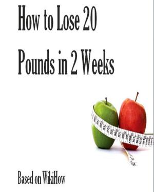 bigCover of the book How to Lose 20 Pounds in 2 Weeks by 