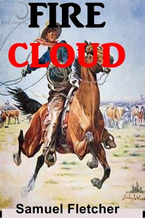 Cover of the book Fire Cloud by Clifton Adams