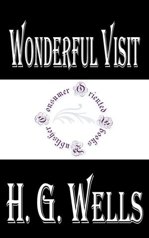 Cover of the book Wonderful Visit by Howard Pyle