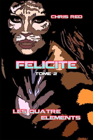 Cover of the book Félicité by Shane Rynhart