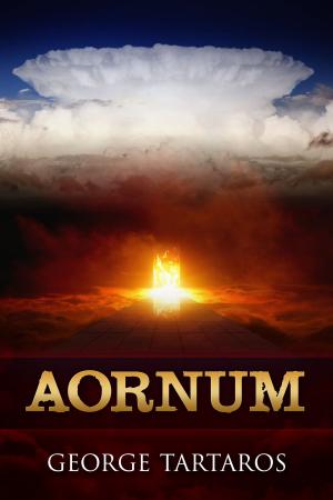 Cover of the book Aornum by Tristan Malaussène