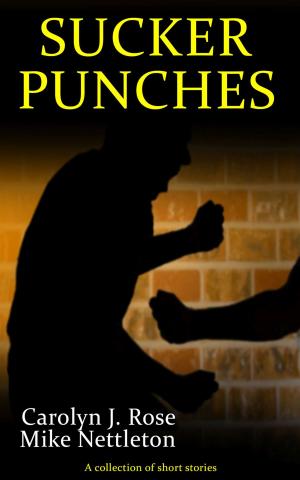 Book cover of Sucker Punches