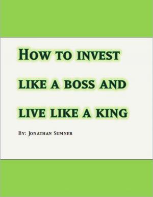 Cover of the book How to invest Like a Boss and Live Like a King by David Austin Mallach