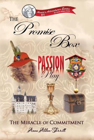 Book cover of The Promise Box