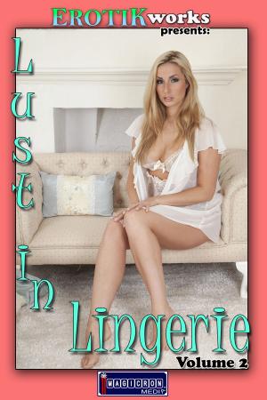 Cover of the book Lust in Lingerie Vol. 2 by Jasmine Bernard