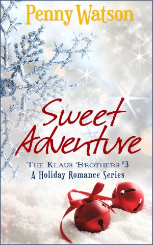 Cover of the book Sweet Adventure by Latravious Calloway