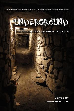 Cover of the book Underground by Jonathan Face