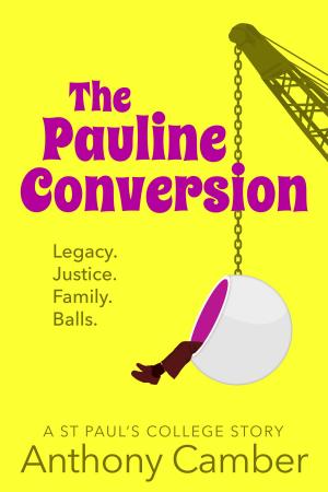 Cover of the book The Pauline Conversion by David Smith