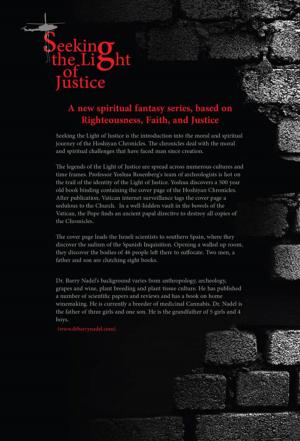 Cover of the book Seeking the Light of Justice by Trent Jamieson