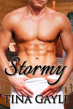 Book cover of Stormy