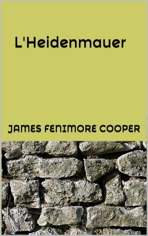 Book cover of L'Heidenmauer