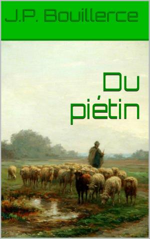 Book cover of Du piétin