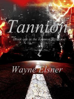 Cover of the book Tannion by Brian O'Sullivan