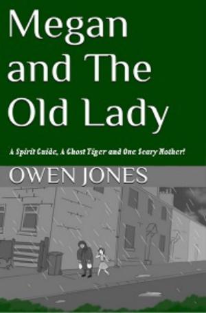 Book cover of Megan and The Old Lady