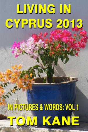 Book cover of Living in Cyprus