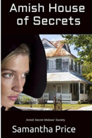 Cover of the book Amish House of Secrets by Stef Nichols
