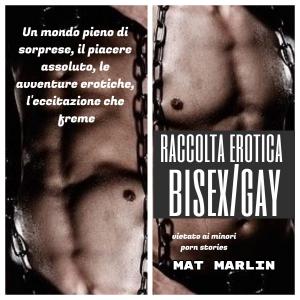 Cover of Raccolta erotica bisex gay (porn stories)