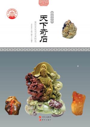 bigCover of the book 天下奇石：赏石文化与艺术特色 by 