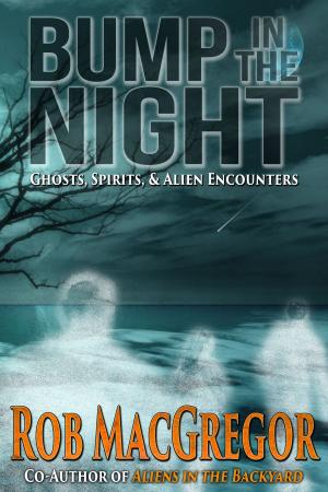 Cover of the book Bump in the Night by Megan Mackie