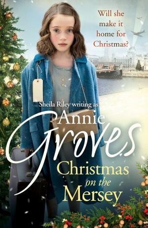 Cover of the book Christmas on the Mersey by Monika Linton