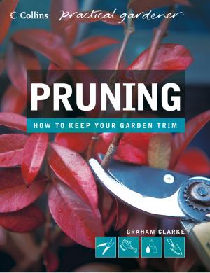 Cover of the book Pruning (Collins Practical Gardener) by Darcey Bussell