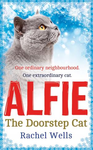 Book cover of Alfie the Doorstep Cat
