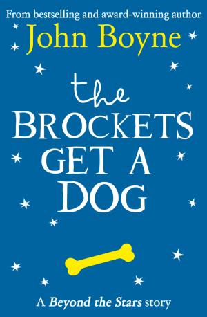 Book cover of The Brockets Get a Dog: Beyond the Stars