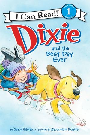 Cover of the book Dixie and the Best Day Ever by Peter Lerangis