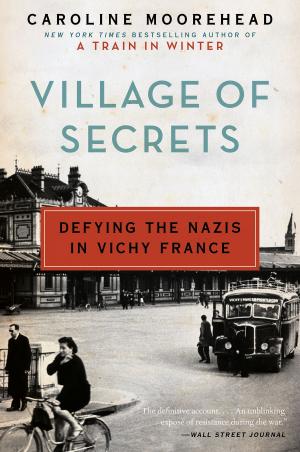 Cover of the book Village of Secrets by Deborah Lawrenson