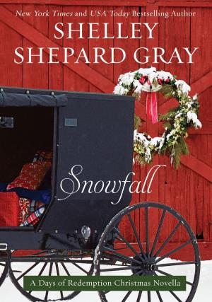 Cover of the book Snowfall by Jennifer Bogart