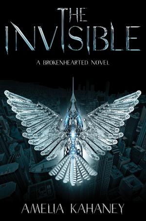 Cover of the book The Invisible by Claire LaZebnik