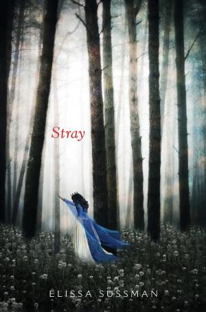 Cover of the book Stray by Victoria Schwab