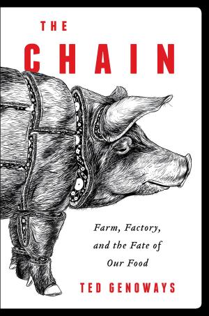 Cover of the book The Chain by Da Chen