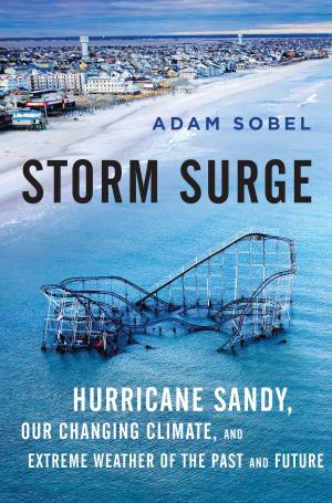 Cover of the book Storm Surge by Christine Lahti