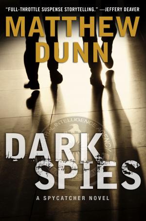 Cover of the book Dark Spies by Tina Seskis