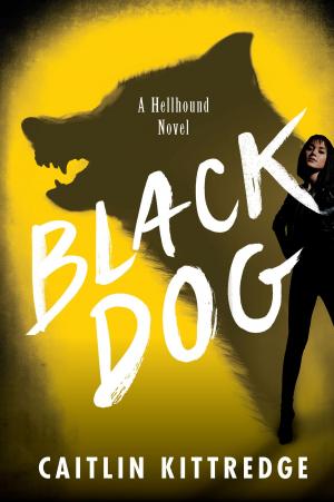 Cover of the book Black Dog by Kylie Chan