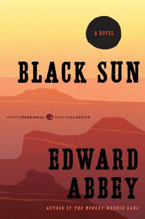 Cover of Black Sun