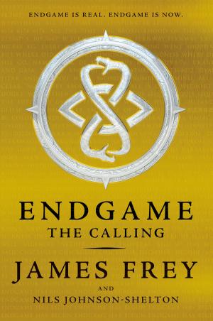 bigCover of the book Endgame: The Calling by 